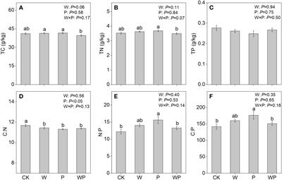 Precipitation increase counteracts warming effects on plant and soil C:N:P stoichiometry in an alpine meadow